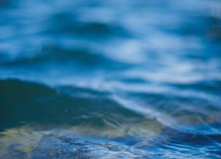 Фото - Обои Mr Perswall Photo - 235202>