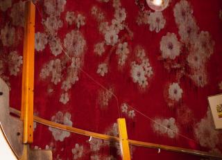 Фото - Обои Wall&Deco 2020 Contemporary Wallpaper - 495136>