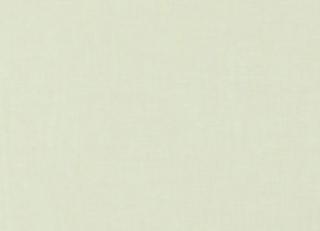 Фото - Ткани Clarke&Clarke Enzo & Angelo - 305307>