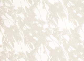 Фото - Обои Villa Nova Ostara Wallcoverings - 456928>