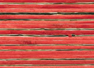 Фото - Обои Elitis Oceania - 557044>