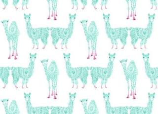 Фото - Обои York Wallcoverings A Perfect World - 443147>