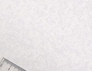 Фото - Обои Newmor Axis - 188969>