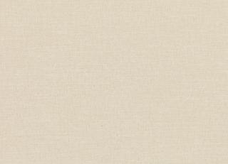 Фото - Ткани Villa Nova Vigo Semi-Plain Weave - 361360>