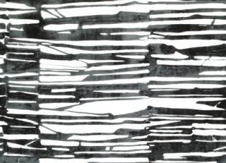 Фото - Ткани Thibaut Tropics - 529844>