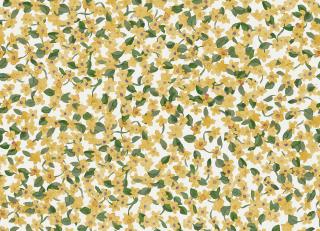 Фото - Обои Coordonne Feria - 559100>