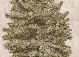 Фото - Обои Wall&Deco CODE 2014 OUT SYSTEM - 463863>