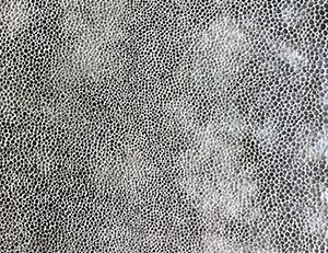 Фото - Ткани Lizzo Gentry - 502559>