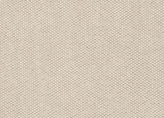 Фото - Ткани Clarke&Clarke Portfolio Plains and Textures - 296950>