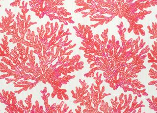 Фото - Ткани Thibaut Tropics - 529849>