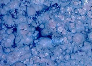 Фото - Обои Arlin Sweet Stones - 342008>