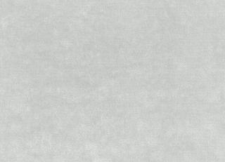 Фото - Ткани Dedar Plushy - 549834>