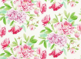 Фото - Обои Zoffany Woodville - 205477>