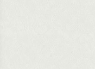 Фото - Обои Zambaiti Bosco - 531754>