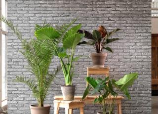 Фото - Обои Nlxl Materials by Piet Hein Eek - 340604>