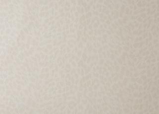 Фото - Обои Caselio Curiosity - 223597>