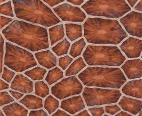 Фото - Обои De Gournay Eclectic - 252223>