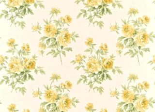 Фото - Ткани Sanderson Caverley Prints - 484014>