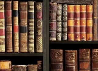 Фото - Обои Shinhan Natural  - 554957>