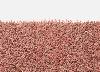 Фото - Ковры Kvadrat Grano - 564461>