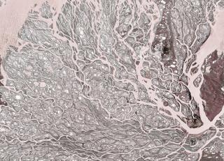 Фото - Обои Wall&Deco CODE 2018 WET SYSTEM - 462729>