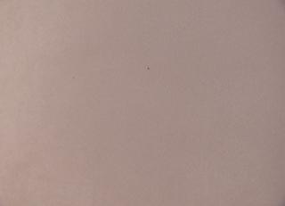 Фото - Обои Fardis Fuji - 223750>