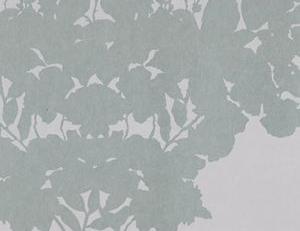Фото - Обои Osborne & Little Folia - 353157>