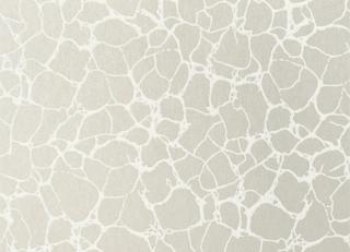 Фото - Обои Thibaut Surface Resource - 379267>