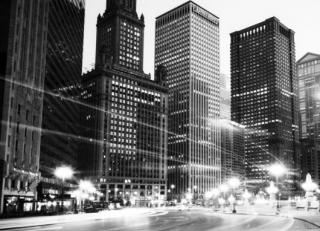 Фото - Обои Mr Perswall Urban Nature - 235254>