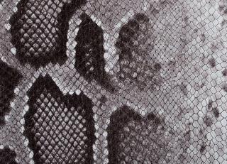 Фото - Аксессуары Pavoni Кожа Liveri - 588839>