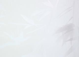 Фото - Обои Designers Guild Shanghai Garden - 250660>