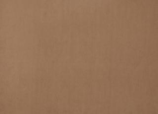 Фото - Ткани Дом CARO Plushery - 533220>