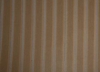 Фото - Ткани Foresti Home Collection Velluto a coste larghe - 563332>