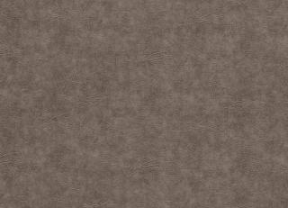 Фото - Ткани Clarke&Clarke Dawson - 530153>