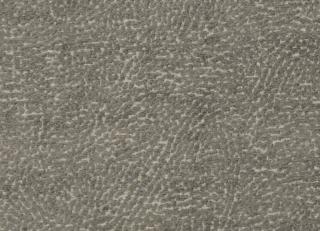 Фото - Ткани Clarke&Clarke Avalon - 437132>