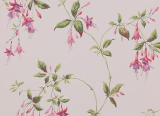 Фото - Обои Colefax and Fowler Lindon Wallpapers - 495801>