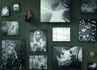 Фото - Обои KT Exclusive Vanilla Lime - 435154>