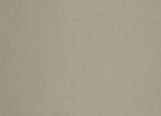 Фото - Ткани Designers Guild Cara - 272016>