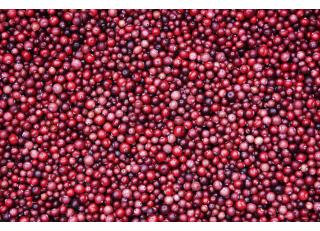 Фото - Обои Photowall Еда и напитки - 298674>