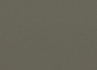 Фото - Ткани Faboie Plain VIII - 584164>