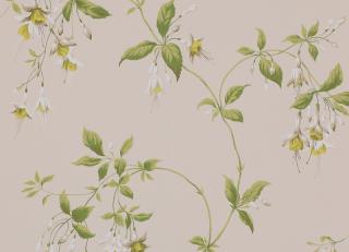 Фото - Обои Colefax and Fowler Lindon Wallpapers - 495800>