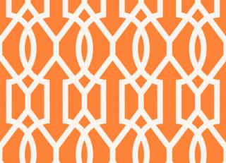 Фото - Обои Thibaut Resort - 229463>