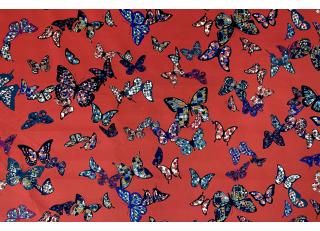 Фото - Ткани Casal Artaile - 555687>