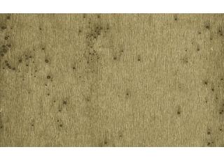 Фото - Обои Arte Lush - 468179>