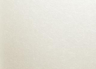 Фото - Обои Eijffinger Venue - 220209>