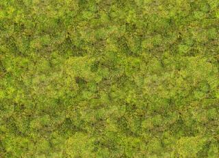 Фото - Обои Mr Perswall Daily Details - 234505>