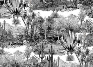 Фото - Обои Pierre Frey Jungle - 312147>