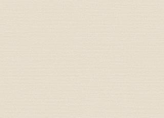 Фото - Обои Omexco Birds of Paradise - 611775>