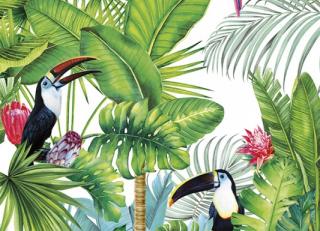 Фото - Обои Ortograf It`s Jungle - 477078>