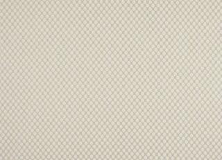 Фото - Ткани Colefax and Fowler Denbury - 603013>